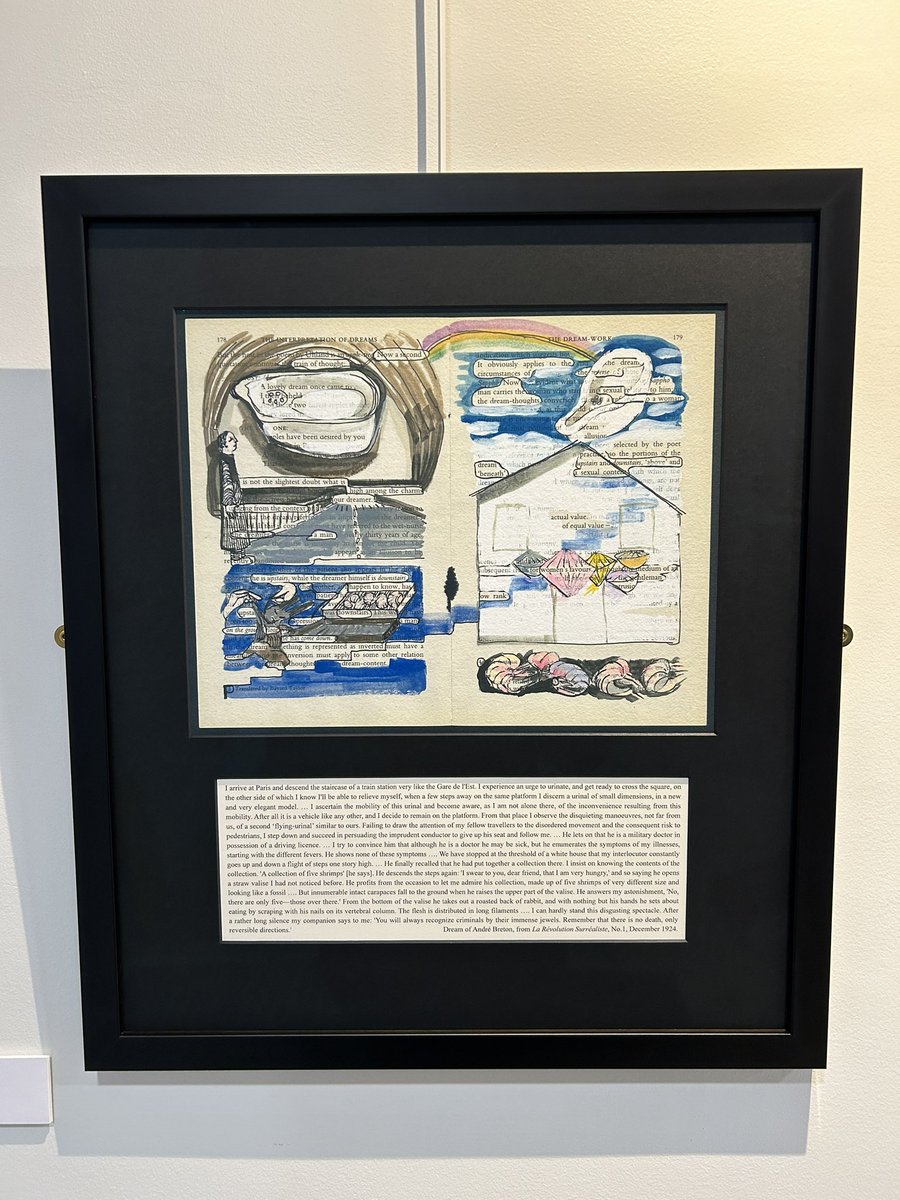 DreamsID tweet media