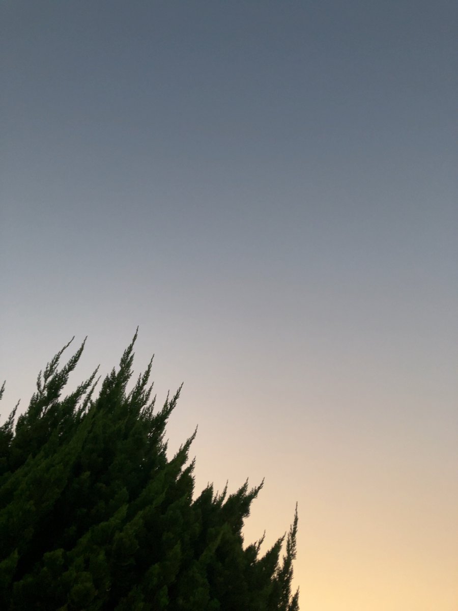 #JapanTravel #Japantrip
#picture #photos