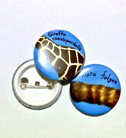 いきもにあで缶バッジ、ポストカード、アクリル画を売ります！
場所はK-256！
 <a href="/KUikimonia/">生物狂徒学生交流会</a> 
 #いきもにあ2024