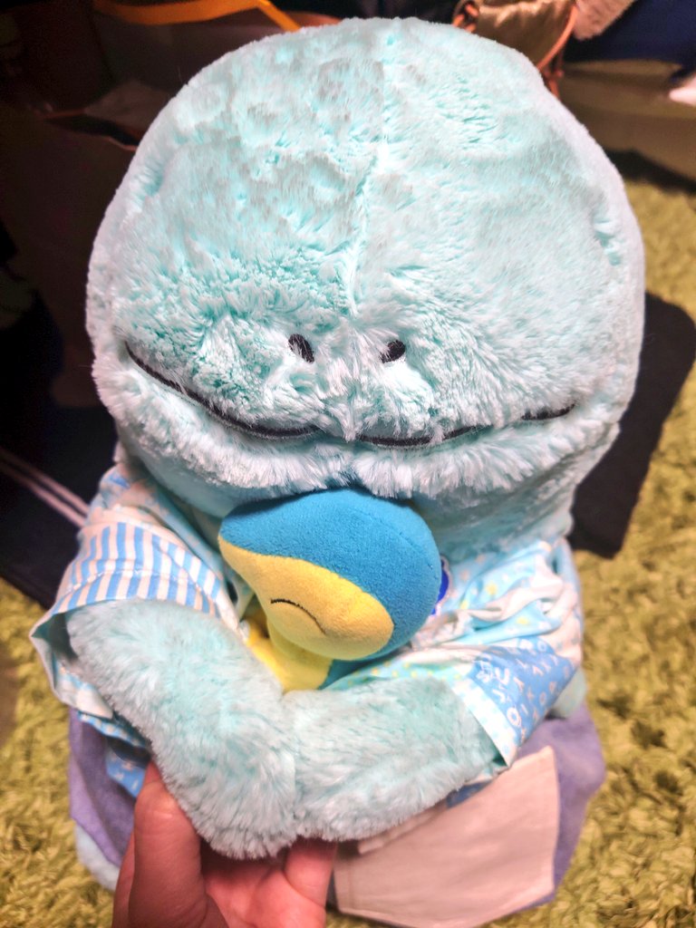 新しいお友達ができたんだぬ🩵🩵