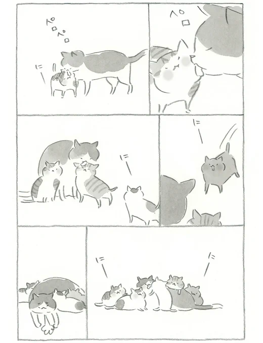 ねこのほそみち から 