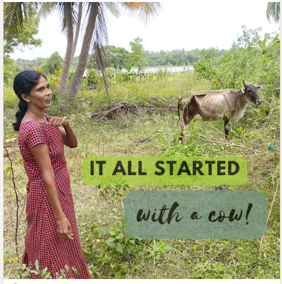 So, next time you use chili powder, remember Kerenakaran and many farmers like her that are part of our global food chain. It doesn’t take much to make a change - in Kerenakaran’s words, “It all started with a cow!”
Click here to donate now: lnkd.in/dDYM34KW
2/3