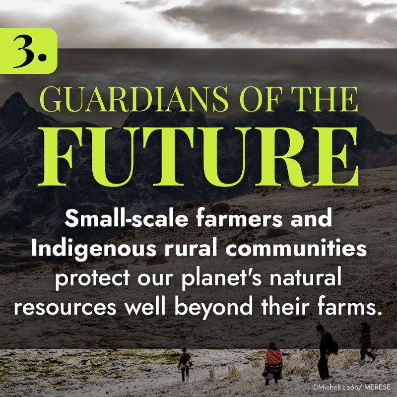 IFAD's tweet photo. Did you know that biodiversity can benefit from sustainable food systems?
 
Here are three ways the people who grow our food can ensure a biodiverse future for us all.
 
#COP16 #COP16Colombia #PeacewithNature