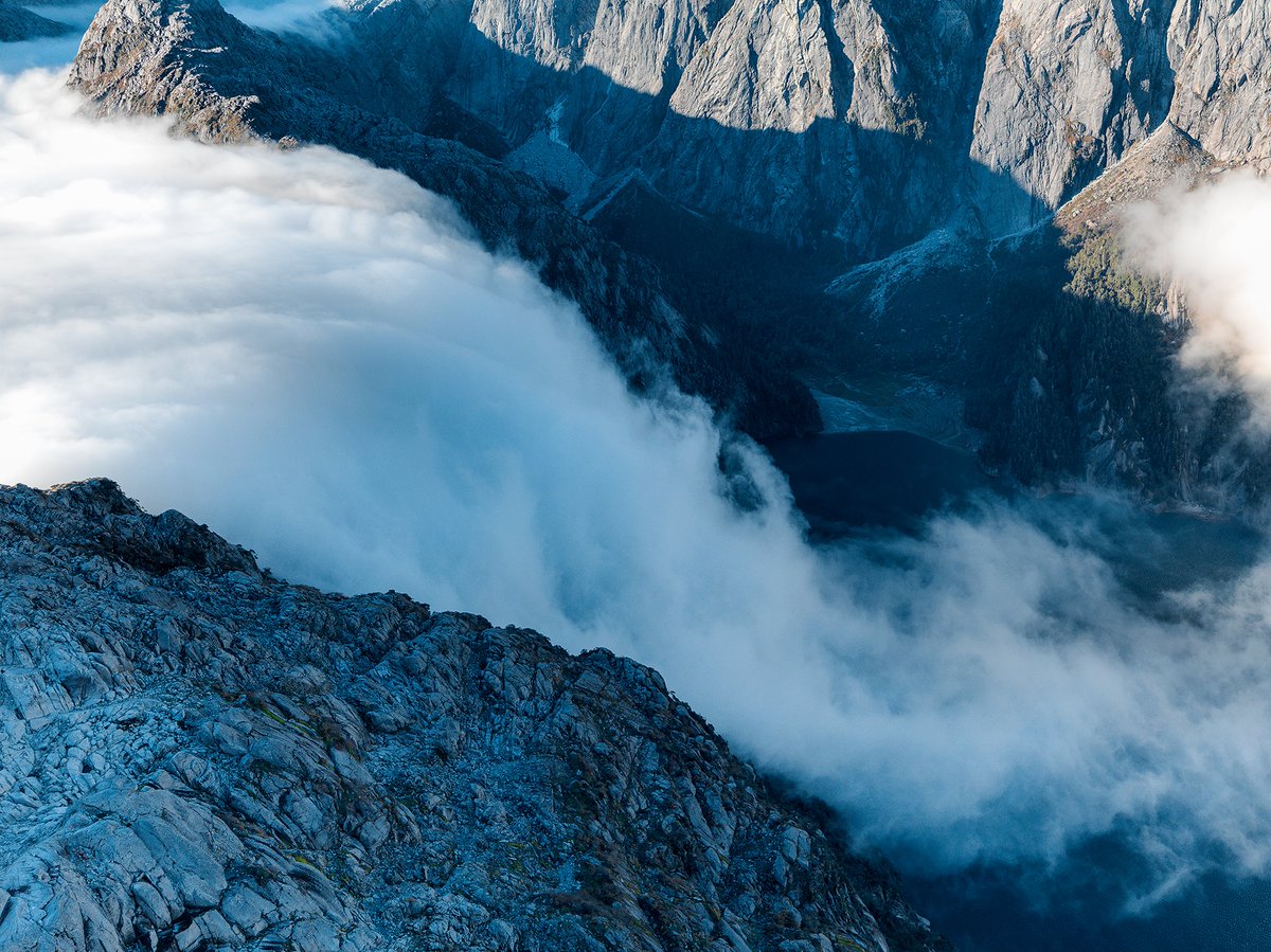 RewildingChile's tweet photo. El Parque Nacional Pumalín Douglas Tompkins es conocido por albergar el 25% de los bosques de alerces milenarios que quedan en Chile. Sus frondosos y antiguos bosques, son moldeados por los fiordos, ríos, ventisqueros, cascadas y lagunas colgantes. https://t.co/2vHIP7bW3T