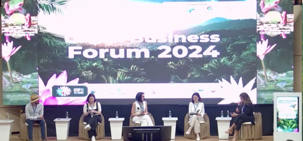 🍃Estamos siguiendo el Green Business Forum 2024 en el marco de la #COP16 de Cali, Colombia.