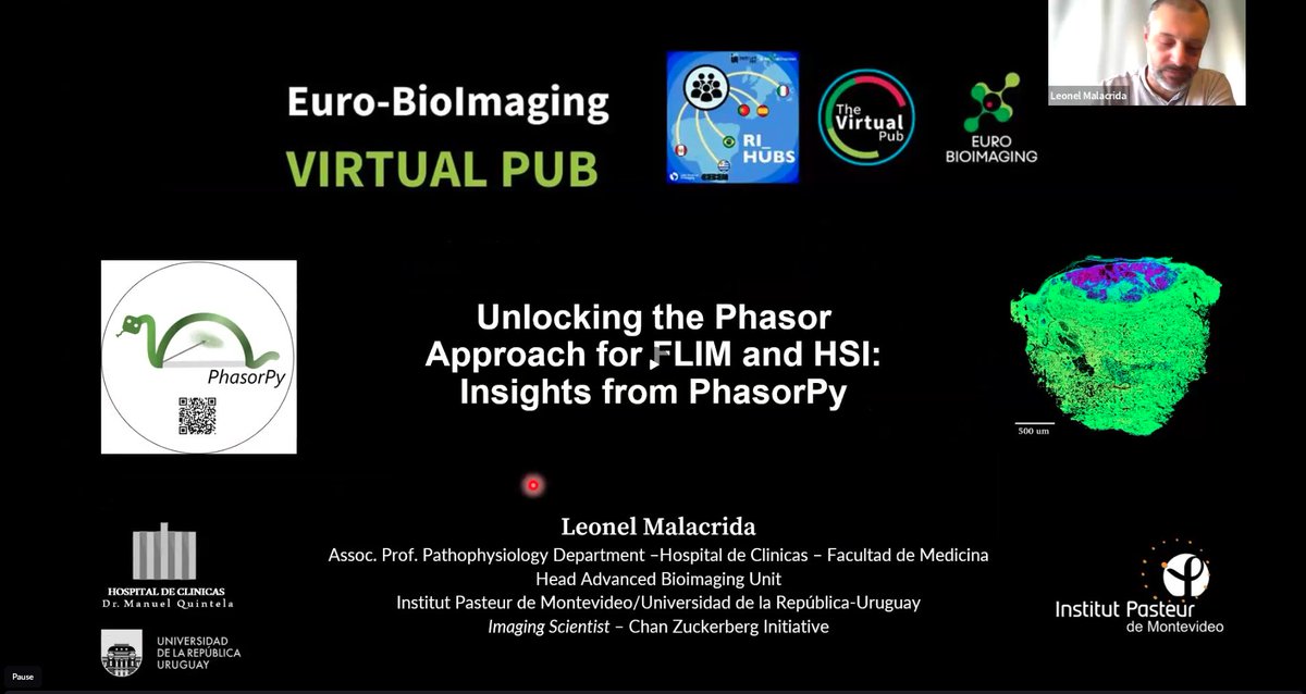 Euro-BioImaging ERIC (@eurobioimaging) on Twitter photo Excellent talk from <a href="/MalacridaLab/">Leonel Malacrida</a> today explaining how phasor analysis reduces the obstacles of FLIM imaging. @PhasorPy - the new tool developed by his team - makes analysis of FLIM and hyperspectral imaging data faster and more accessible. All software is open source with lots Excellent talk from <a href="/MalacridaLab/">Leonel Malacrida</a> today explaining how phasor analysis reduces the obstacles of FLIM imaging. @PhasorPy - the new tool developed by his team - makes analysis of FLIM and hyperspectral imaging data faster and more accessible. All software is open source with lots
