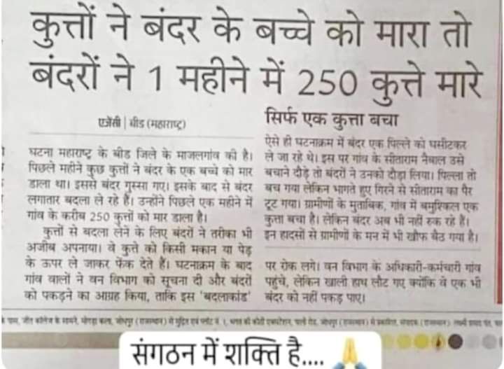 The_Sandeep10's tweet photo. *कुत्तों ने बंदर के बच्चे को मारा तो बंदरो ने 1 माह में 250 कुत्तों को मारा*

आतंकवाद से निपटने का एकमात्र उपाय हिंदुओं को बंदरों से कुछ सीखना चाहिए 🙏🚩
#हिन्दू #Hindistan https://t.co/CfGs4BZLPk