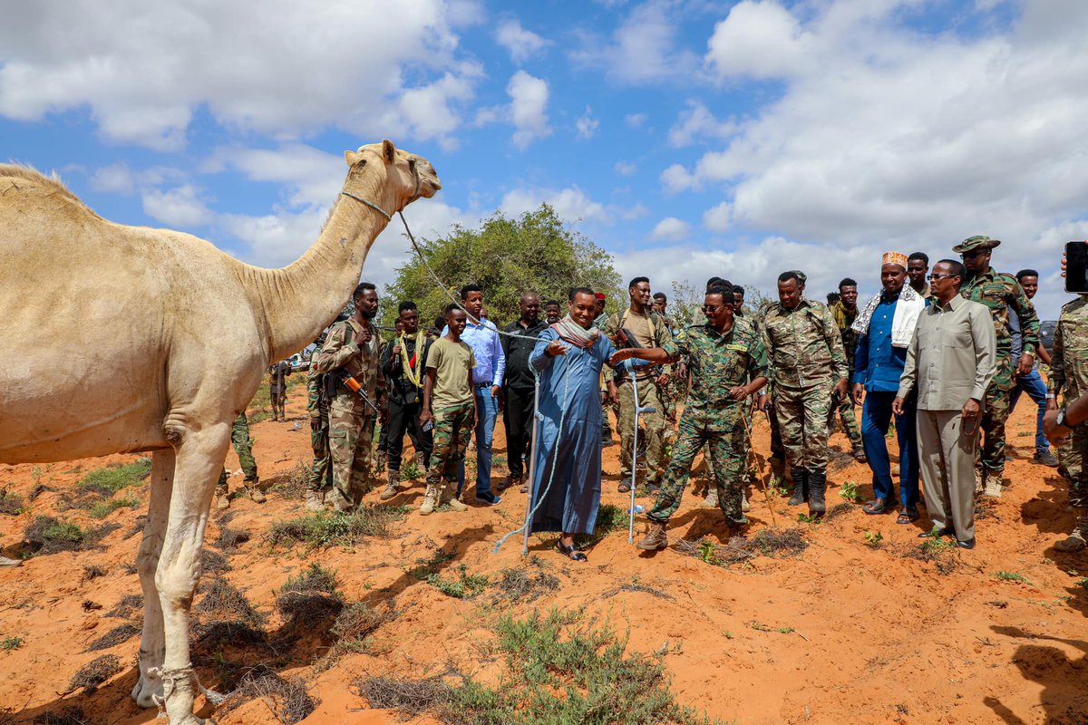 Hirshabelle Televission tweet media