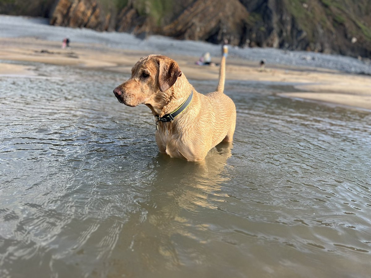 Bude still rocks … 💙
