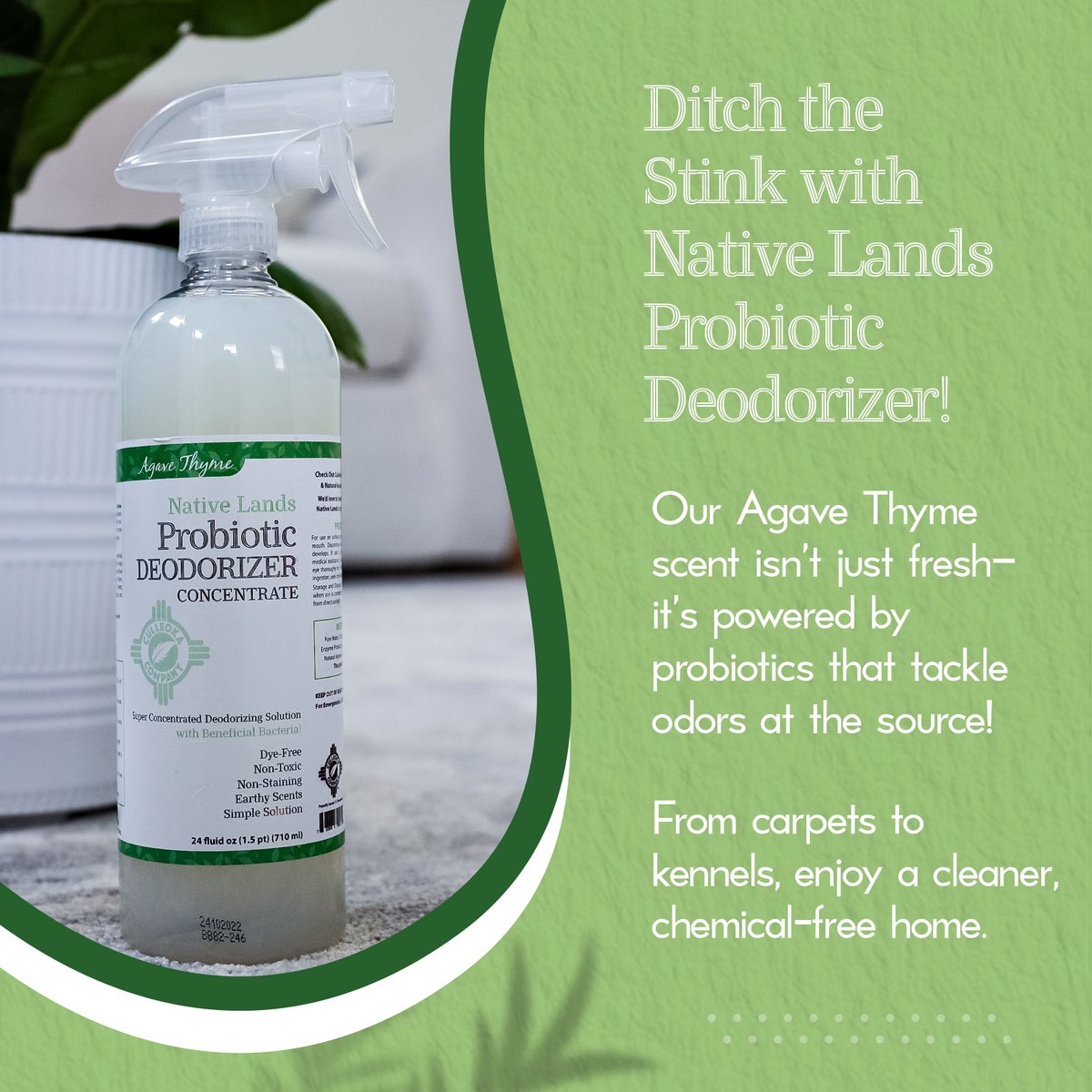 culleokacompany's tweet photo. Does your cleaning eliminate odors? 🌱

Culleoka's Native Lands Probiotic Deodorizer is infused with probiotics with an Agave Thyme scent that doesn’t just cover up odors; it eliminates them for a deeper clean. 

#CulleokaCompany #Cleaning #HouseCleaning #CleanHacks https://t.co/OoSGOVSbqd