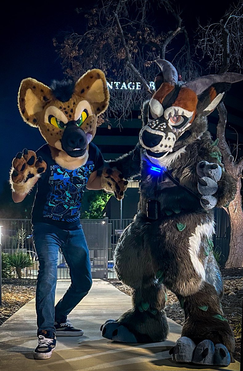 Beviraku! tweet media