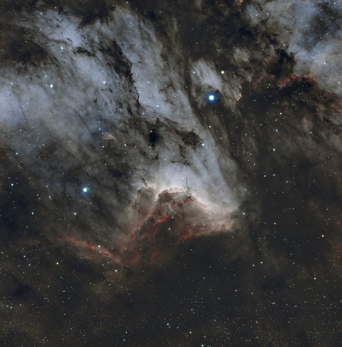 Last night's catch of IC5070, the Pelican Nebula.
#Astrophotography #nebula