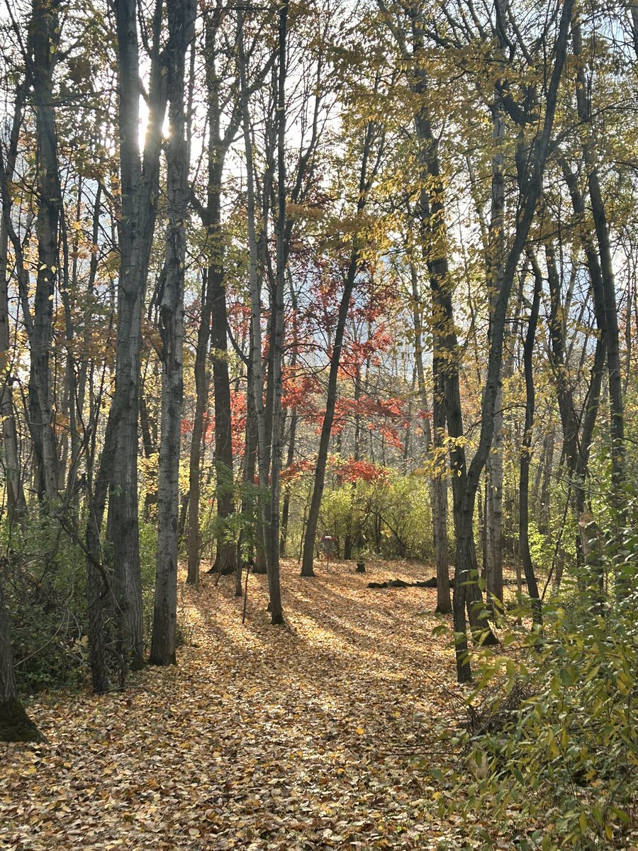 Kind of think that more of this would fix a lot of issues in our world. ♥️