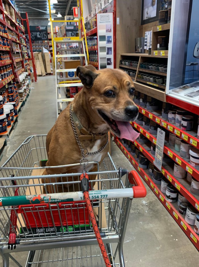 Allanah "Fitzy" Fitzgerald 🎙️ tweet media