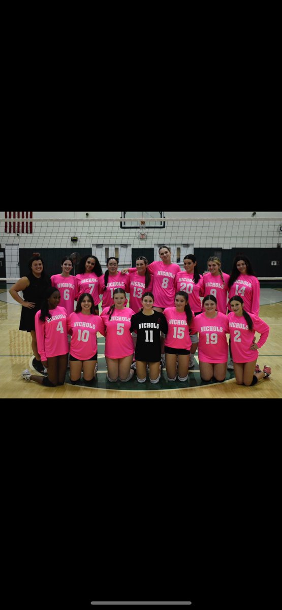 NicholsVball's tweet photo. Dig Pink game for breast cancer awareness. We are playing St. Mary’s of Lancaster. JV at 4:30pm &amp; Varsity at 6:00pm. Let’s go Vikings 🏐💕💚 @MonsignorMartin https://t.co/EGRTG69ydN