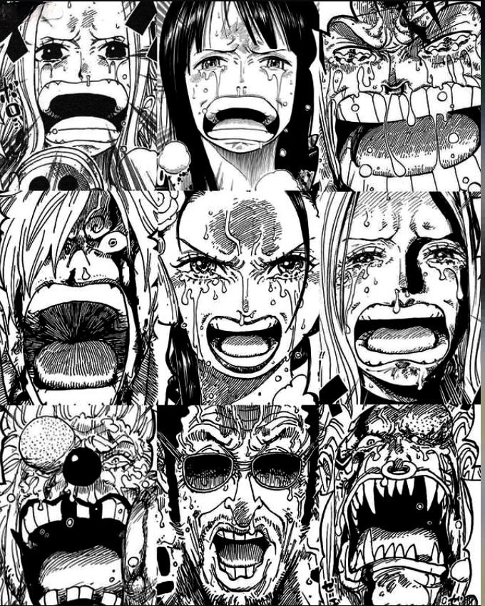 One Piece Daily tweet media