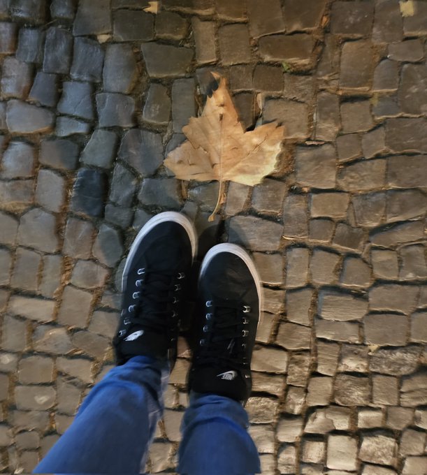 Leaf ? https://t.co/MXnJT9odmd