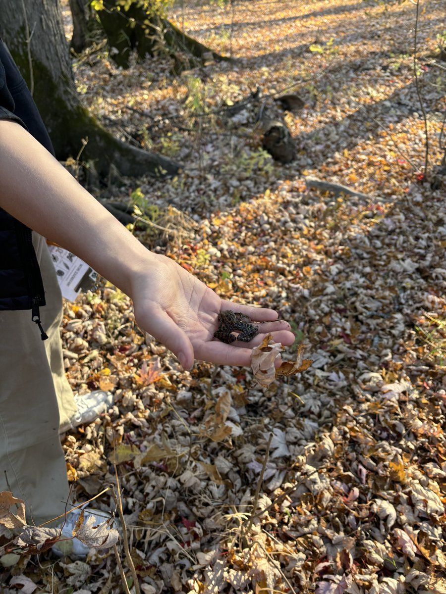 April Gordon (@msaprilgordon) on Twitter photo A great inaugural meeting of the 7/8 Outdoors Club, with our club’s founding member, Maks (who sadly moved on to Gr. 9, but joined us) We bushwacked, did a scavenger hunt, and laughed a lot! Isn’t autumn beautiful?! <a href="/StMatthewOCSB/">St. Matthew High School</a> <a href="/MartinezVenez/">Jen Mart</a> <a href="/ErinBerthelot1/">Erin Berthelot (she/her)</a> <a href="/msmccullagh91/">Ms.mc</a> A great inaugural meeting of the 7/8 Outdoors Club, with our club’s founding member, Maks (who sadly moved on to Gr. 9, but joined us) We bushwacked, did a scavenger hunt, and laughed a lot! Isn’t autumn beautiful?! <a href="/StMatthewOCSB/">St. Matthew High School</a> <a href="/MartinezVenez/">Jen Mart</a> <a href="/ErinBerthelot1/">Erin Berthelot (she/her)</a> <a href="/msmccullagh91/">Ms.mc</a>