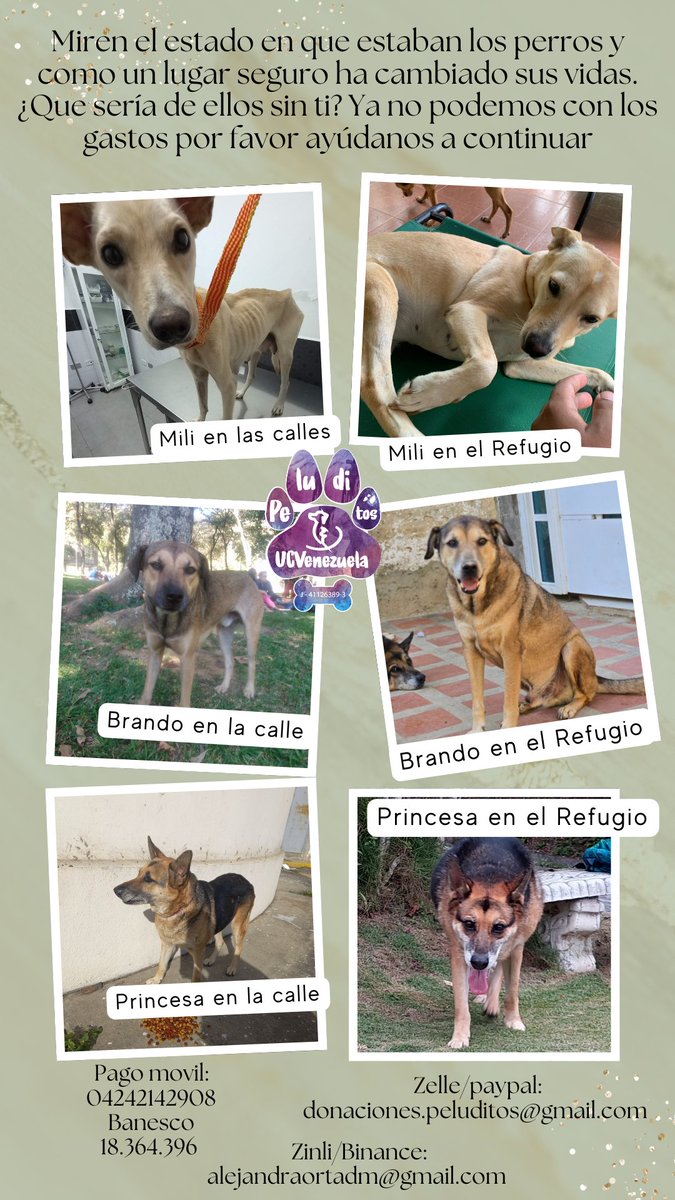 Estas eran las condiciones en las que se encontraban, por favor ayúdanos a mantenerlo bien, ellos te necesitan