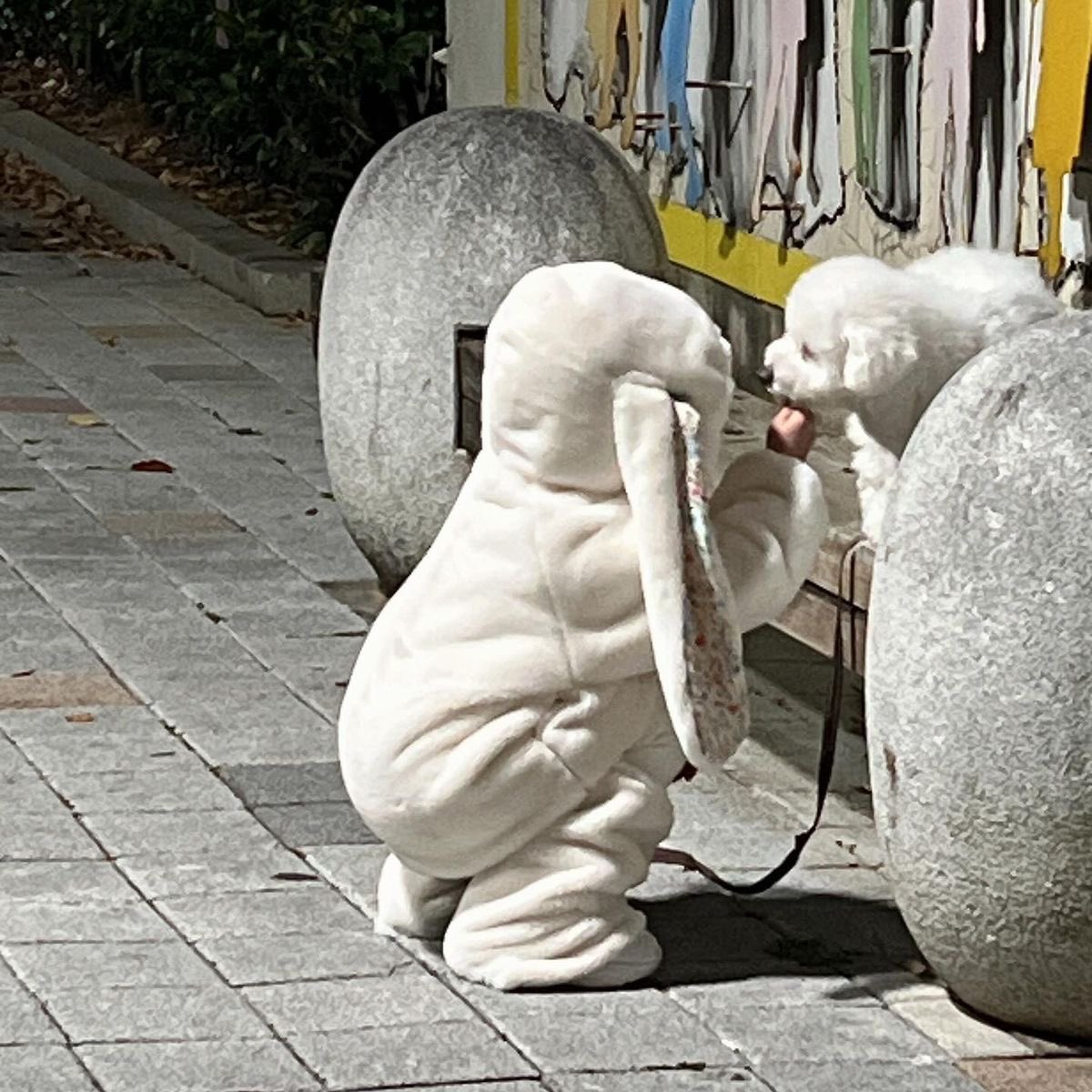 بحر 🌊 (@butterflless) on Twitter photo 