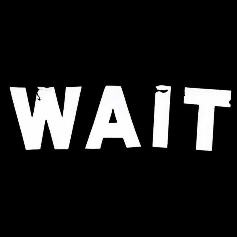 WAIT tweet media