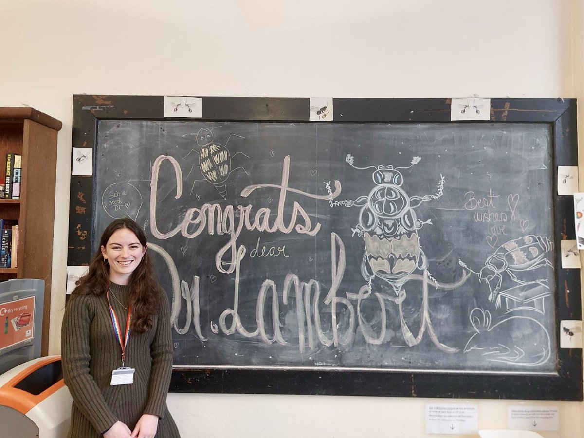 Georgia Lambert tweet media