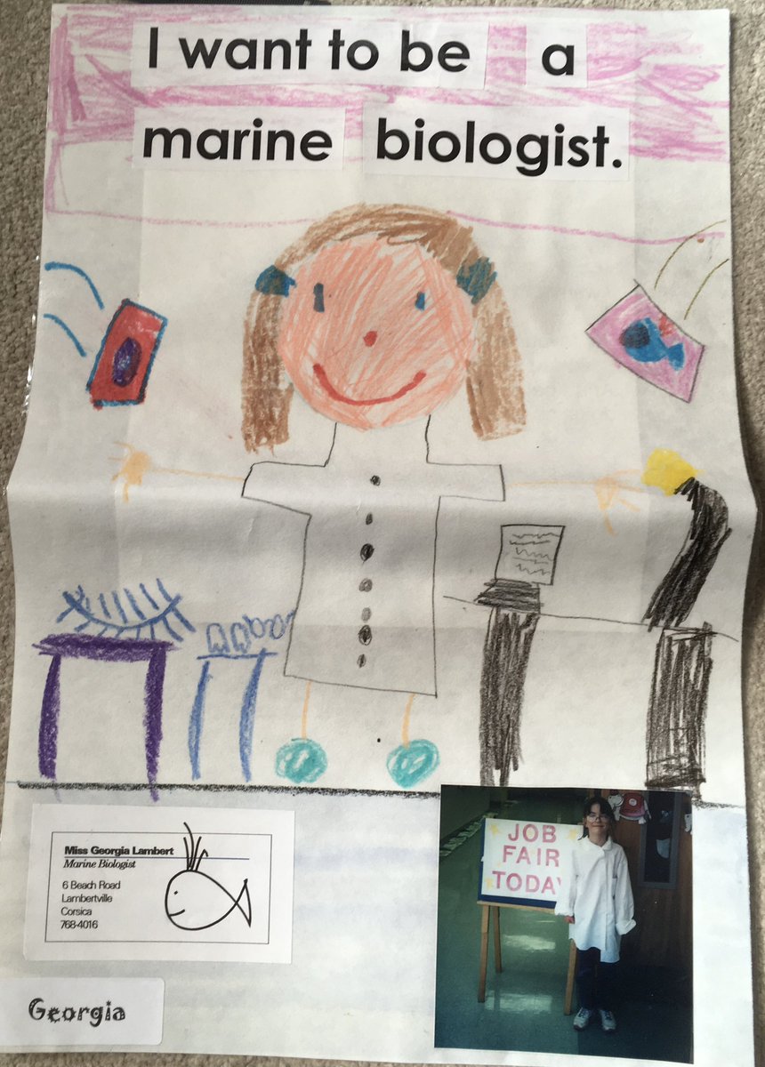 Georgia Lambert tweet media