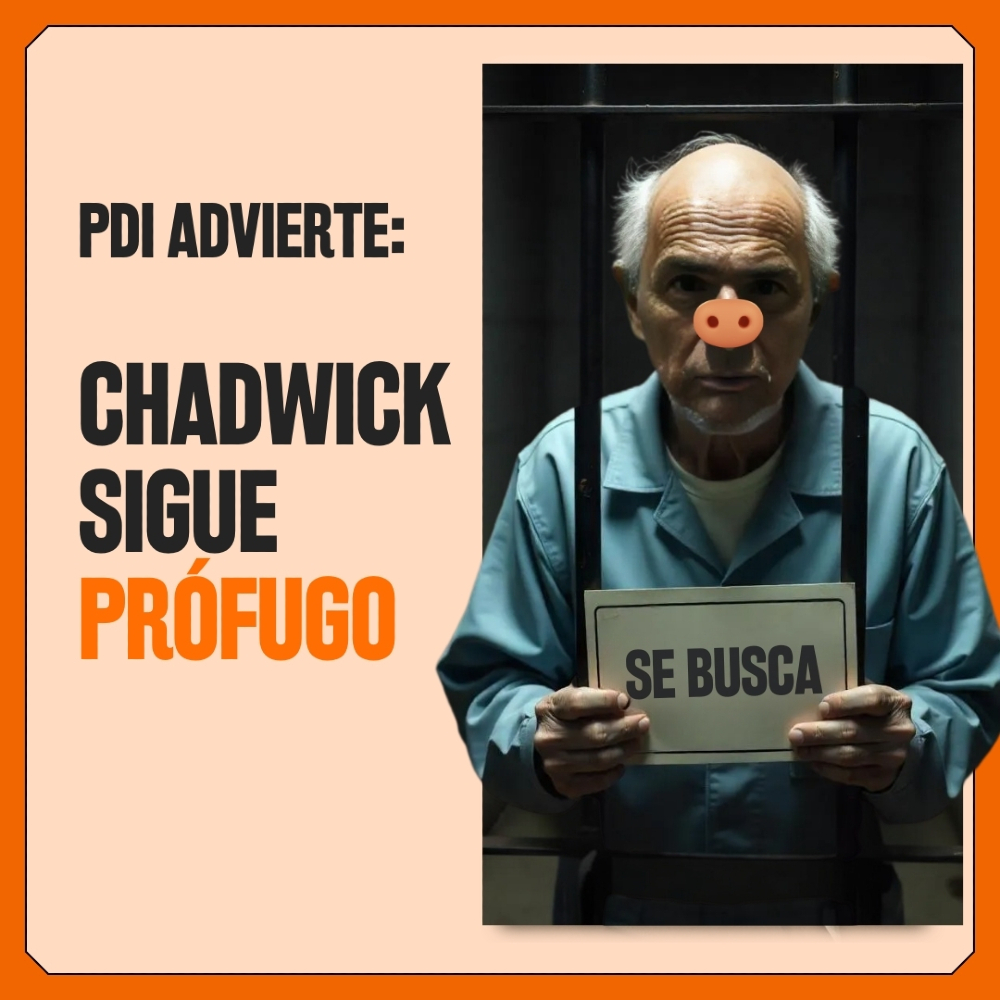 lahermosill4's tweet photo. SE ESCAPÓ DE LA GRANJA DE LA DERECHA.

#chadwick #hermosilla #udi https://t.co/EuPLuNwkyc