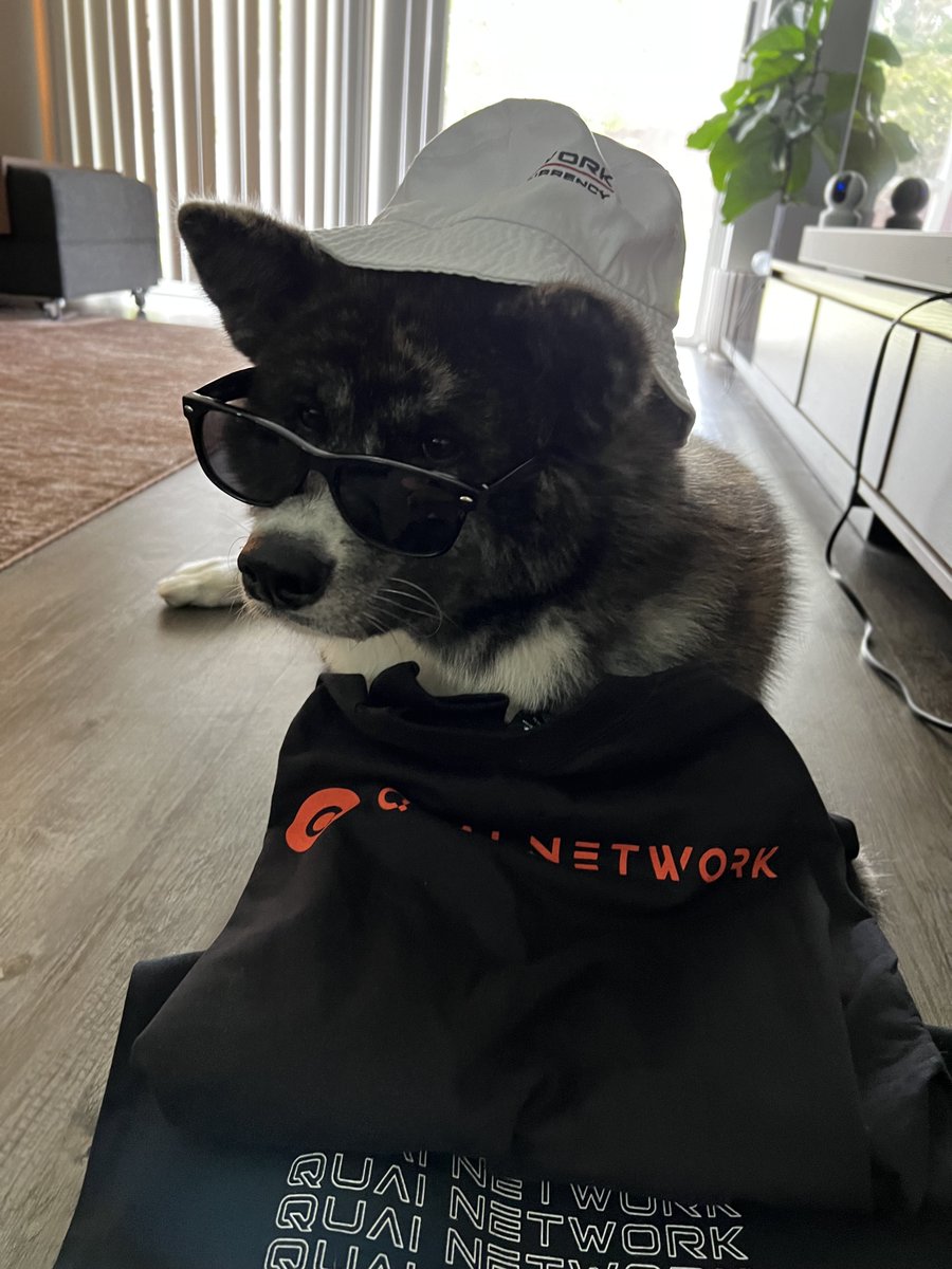 have you ever saw a dog wif hat, and thought "damn, he reps some sick Quai merch." 

no? well maybe this will change your mind. we're looking to spread some sick merch across the world. share this <a href="/QuaiNetwork/">Quai Network ⚡️💵</a> community doge and you may get some merch!