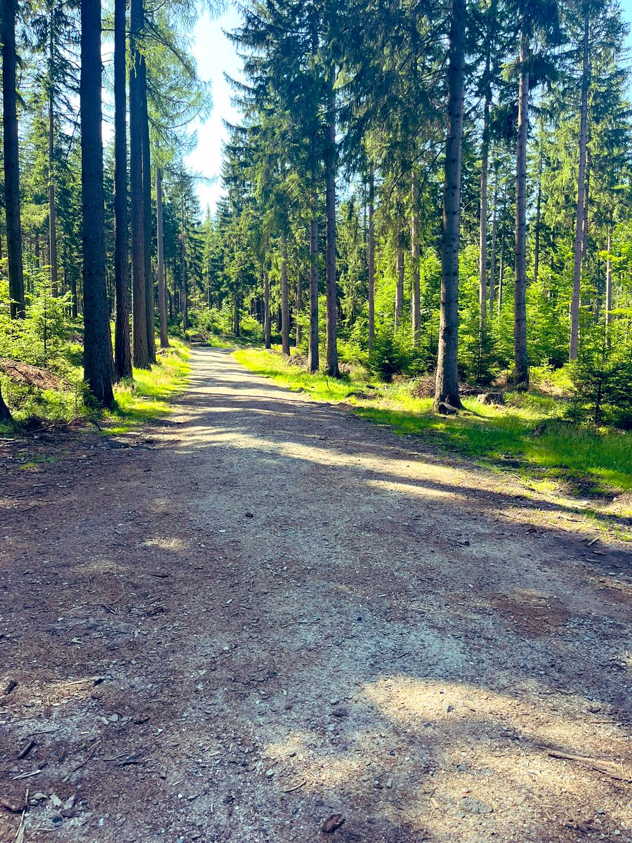 natalia_barbour's tweet image. Even your worst bike ride does not come close to your frustration from driving.