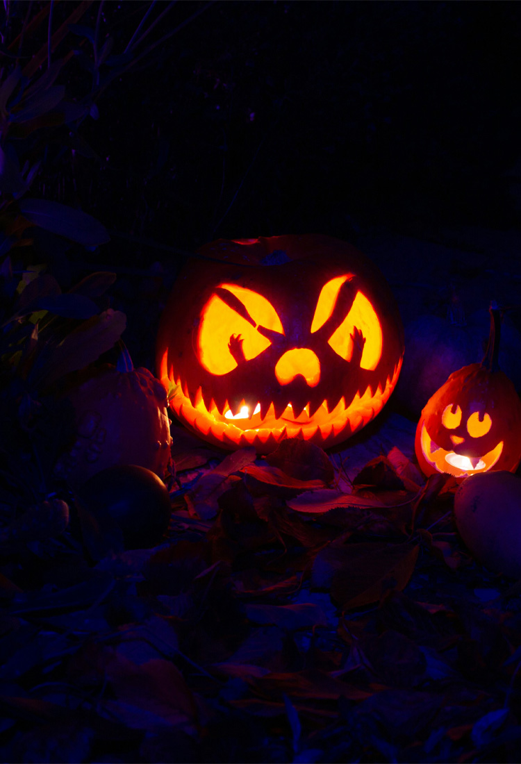 Boo! 
The rest of our Bank Holiday online offers have just gone live!
Visit the website greatoutdoors.ie and get yourself something from our #OctoberOutlet!