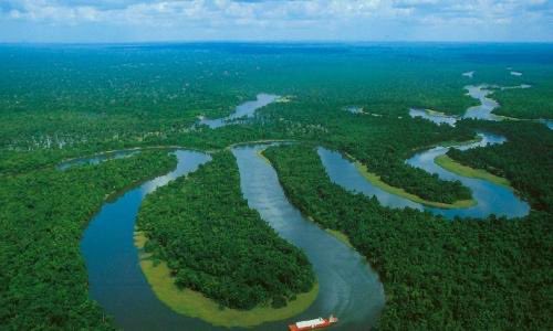 🌳 La Amazonia, nuestro pulmón del mundo, enfrenta una gran amenaza: la minería de cobre. El proyecto Libero Cobre representa una amenaza directa para uno de los ecosistemas más biodiversos y cruciales del planeta. Por coherencia, en #COP16 debería acordarse no extractivismo allí