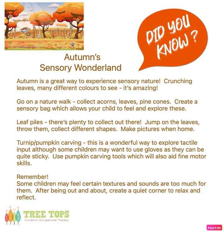 Tree Tops OT tweet media