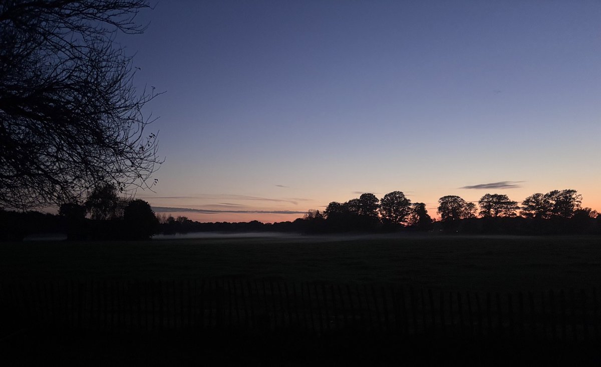 De #wittewieven komen er aan, fijne avond! #nofilter