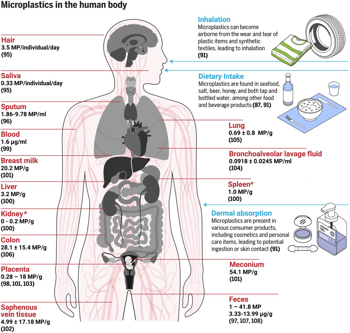 In the 20 years since the term “microplastics” was first coined, a rapidly growing body of research has consistently shown how pervasive and problematic the pollutants have become. 

A new #ScienceReview provides an overview of this research and the progress made in understanding