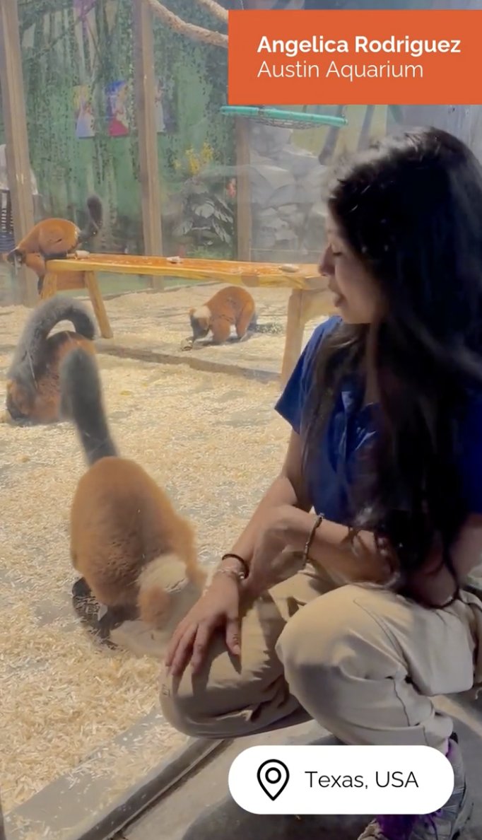 Lemur Conservation Network tweet media