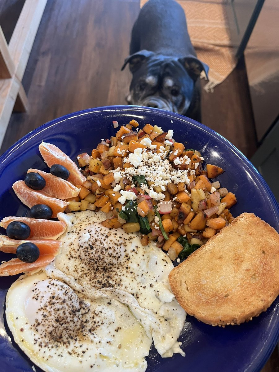 Lulabelle_1776's tweet image. Fall Harvest Hash 🤌

Tilly approved. 

#FoodFriday 
#foodlover 
#scratchcooking
#homemade 
@FoodNetwork 
@clubfoody1
@FoodPornPhotos