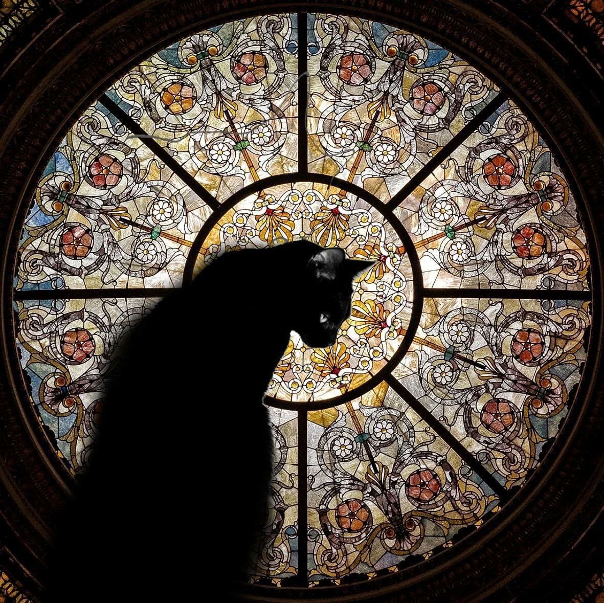 JamesLucasIT's tweet photo. 7. Cat in front of stained glass window https://t.co/EbR0qffx05