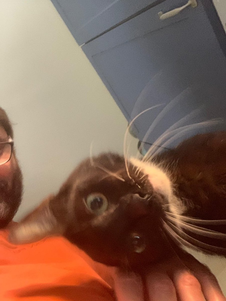 Anne-Marie O'Dwyer-Silbiger tweet media