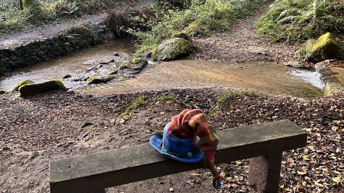 Took my hat for a walk x