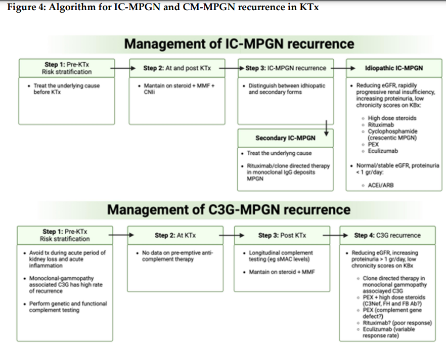 Post-transplant glomerular diseases: update on pathophysiology, risk factors, and management strategies

doi.org/10.1093/ckj/sf…