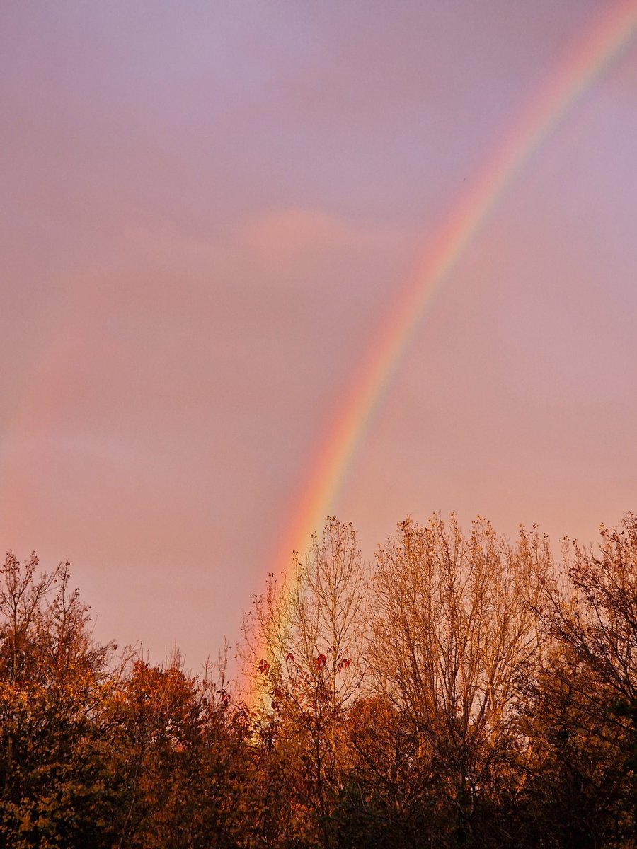 GokouD's tweet photo. Stunning rainbow over #Telford this evening! @bbcweather @Met4CastUK @MetRyan96 
#StormHour #weather https://t.co/FCRE7gJrTU