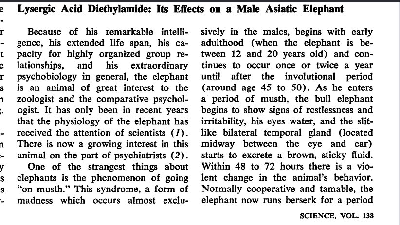 Laureline Logiaco tweet media