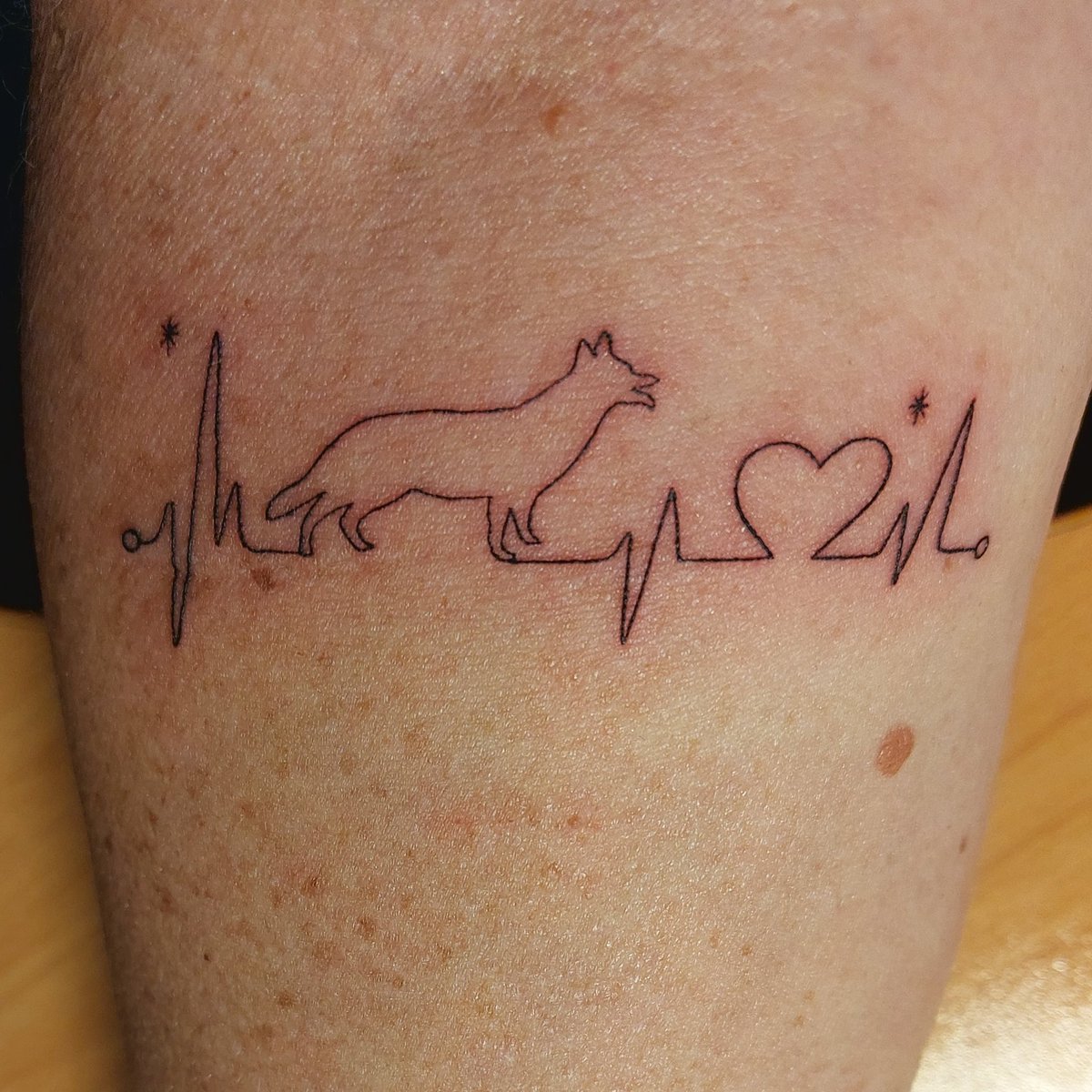 Een eerbetoon aan Marley (na 2 jaar denken en ontwerpen). Dit was na 2 dagen dus nog wat rood, nu bijna volledig geheeld. Ben er erg blij mee 🥰
#duitseherder #tatoeage