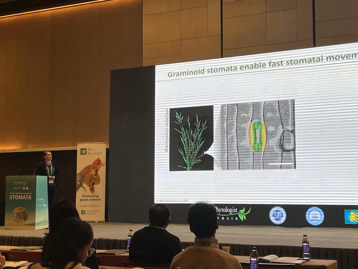 Michael Raissig @michaelraissig.bsky.social tweet media