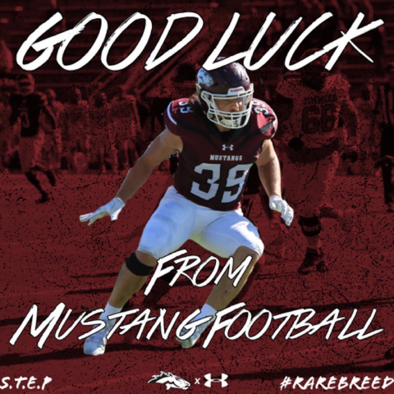 Peter Mac Swaney tweet media