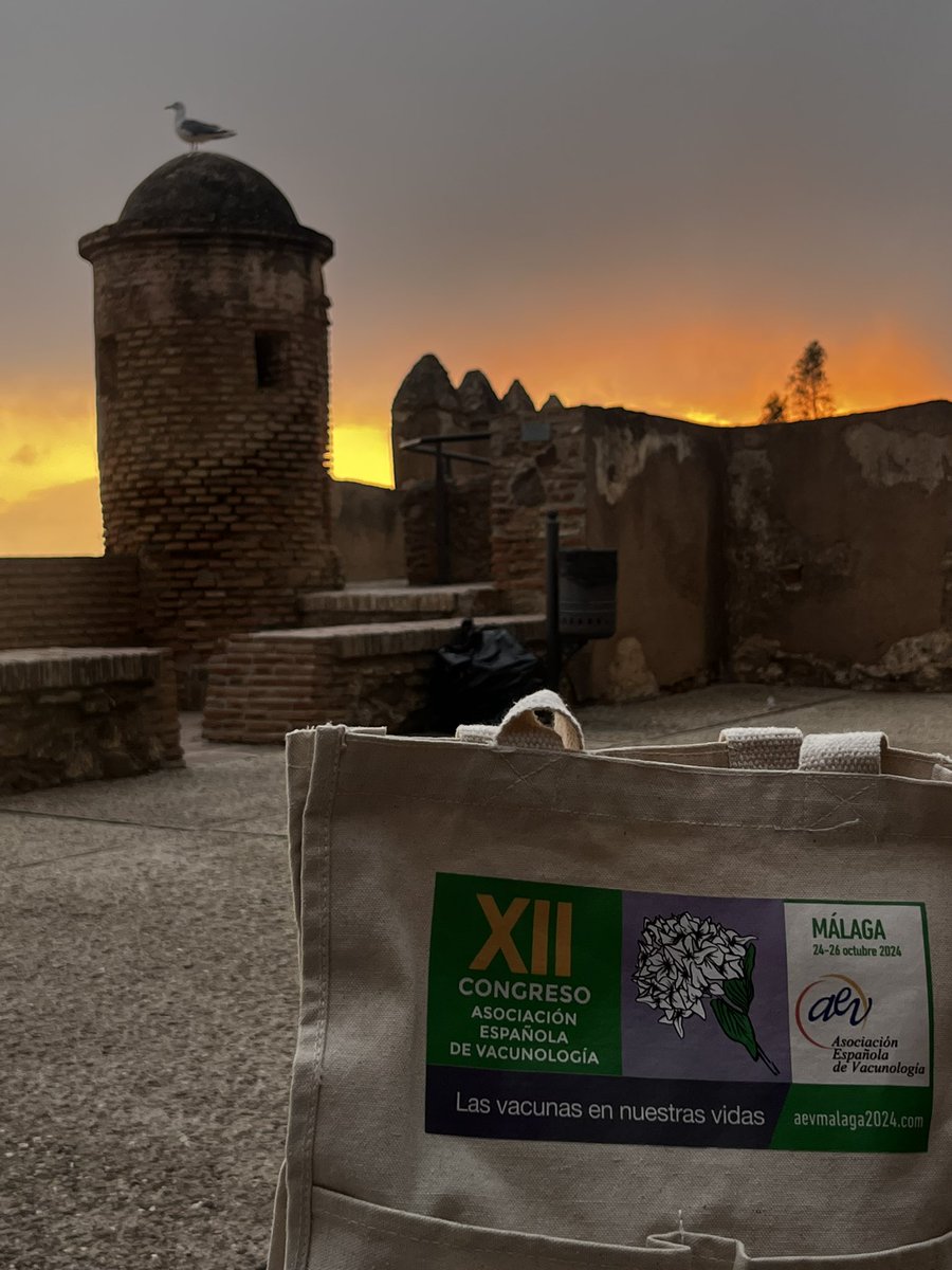 🌊 Málaga
🌅 Vistas
💉 Aprendizaje 

#AEVMálaga2024 
.
.
<a href="/AEV_Vacunas/">Vacunas.org</a> <a href="/SMPHHHUN/">Medicina Preventiva e Higiene Hospitalaria - HUN</a>