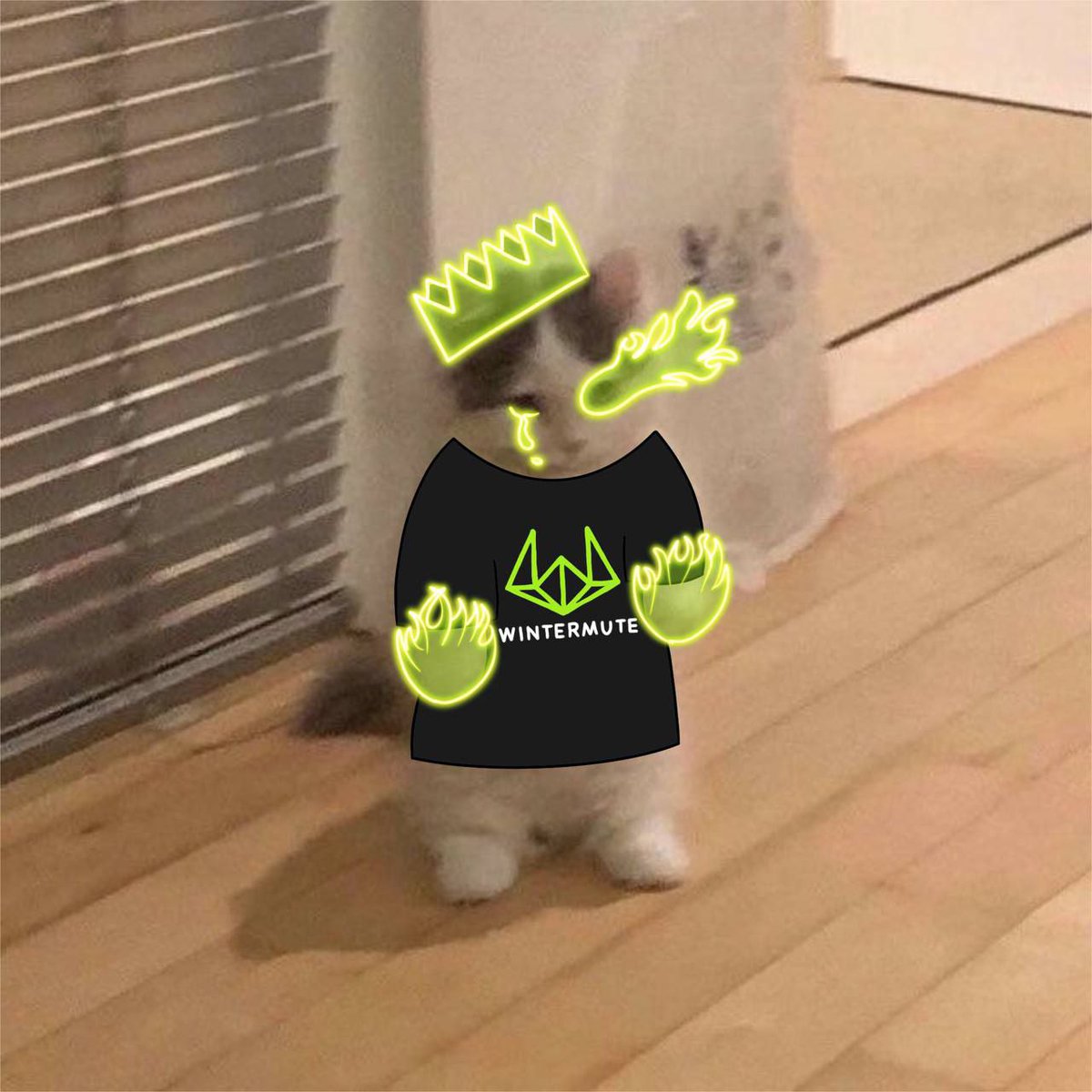 Wintermute is now top 3 holder in $michi. Some T1 CEX listings incoming.  With Popcat and Mew at $1B+, $michi is primed for a big breakout.