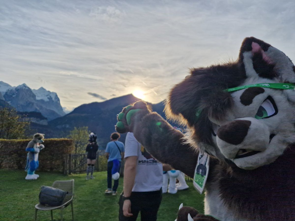Had a great #FursuitFriday here at #GoldenLeavesCon #GLC14.
Look at this incredible Sunset at the swiss #Schwarzhorn mountain peak