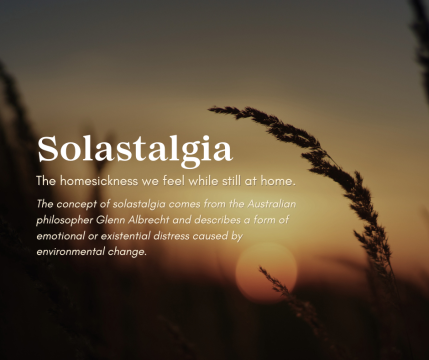 hellbendermag's tweet image. Word of the Week with Kelly Ward:

solastalgia - "a form of emotional or existential distress caused by negatively perceived environmental change" (Wikipedia).